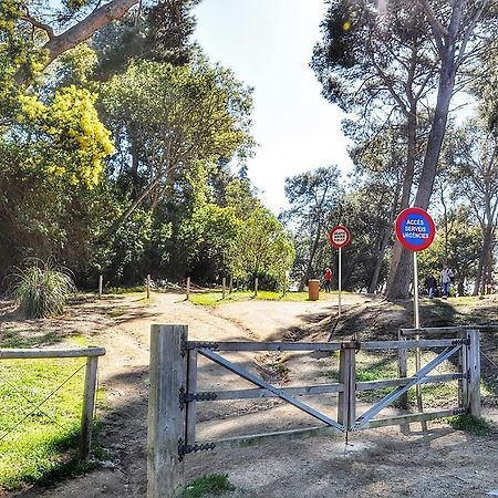 Apartamento Adia Lloret de Mar Zewnętrze zdjęcie